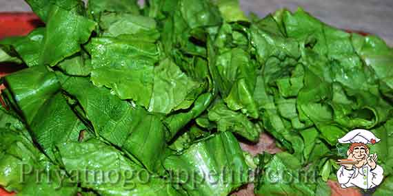 резаные листья салата