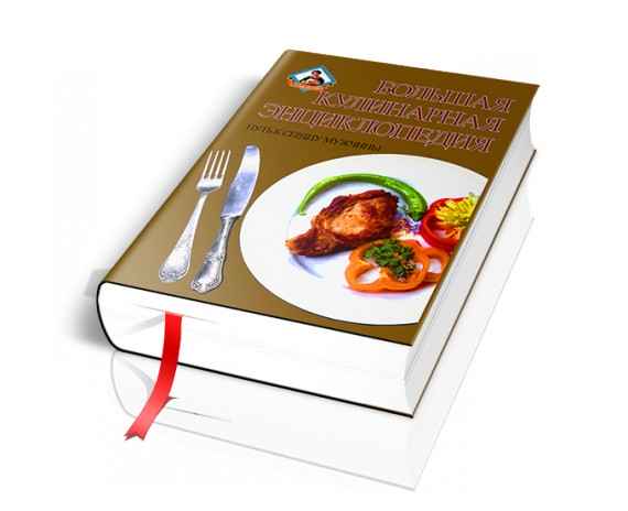 Большая кулинарная энциклопедия